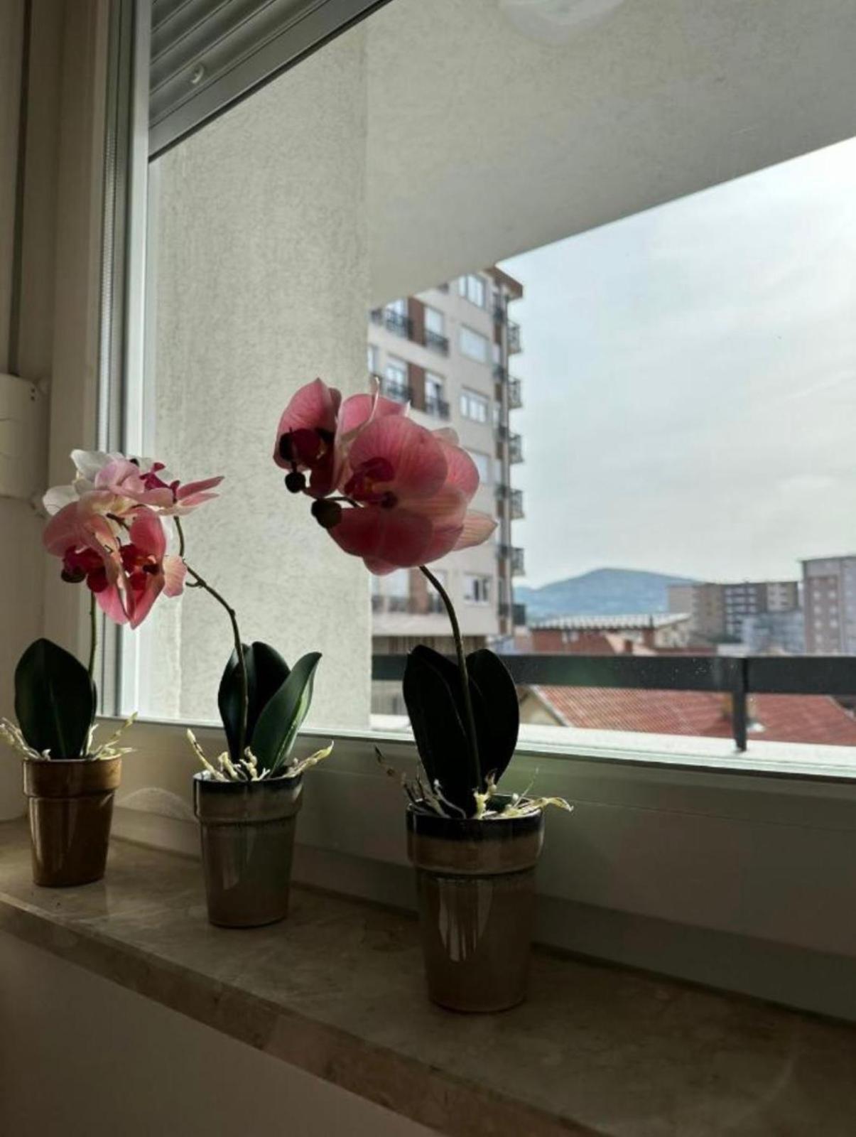 Apartmani Imperial Novi Pazar Exterior foto